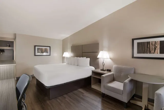 غرفة بسرير كينج يُسمح فيها بالحيوانات الأليفة، Best Western New Oregon 1/3