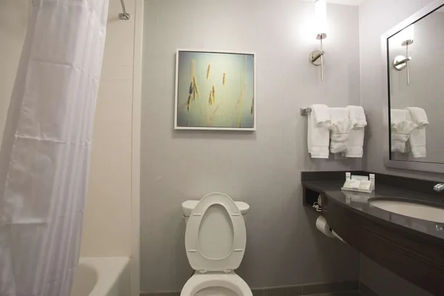 غرفة بسرير كينج بحوض جاكوزي لذوي الإعاقة، Hilton Garden Inn Bolingbrook I-55 4/6
