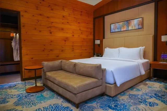جناح جونيور بسرير كينج، Radisson Blu Resort Dharamshala 6/10
