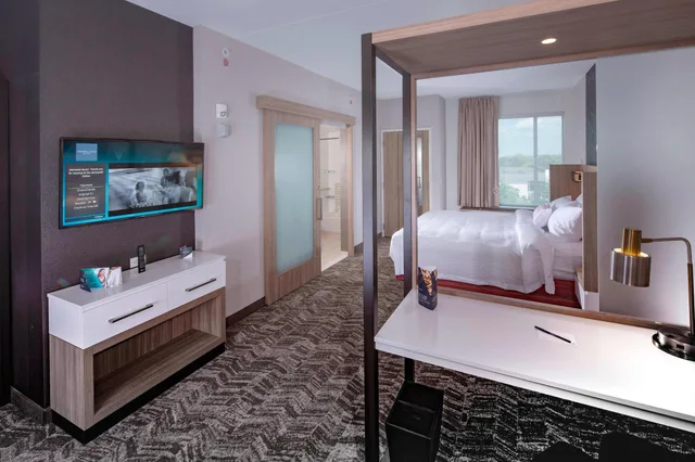 جناح بسرير كينج لذوي الإعاقة، Springhill Suites Newark Downtown 2/2