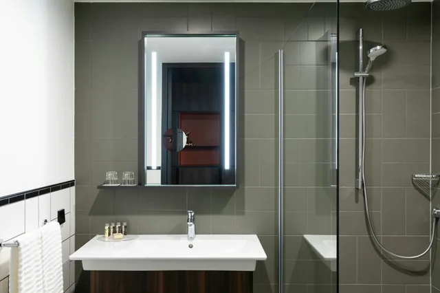 غرفة ديلوكس، RENAISSANCE AMSTERDAM SCHIPHOL AIRPORT HOTEL 3/3