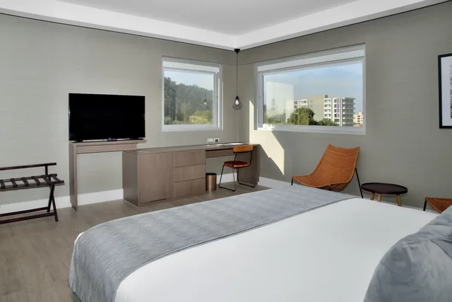 Studio, Suite, King Bed, Radisson Hotel Curico 8/8