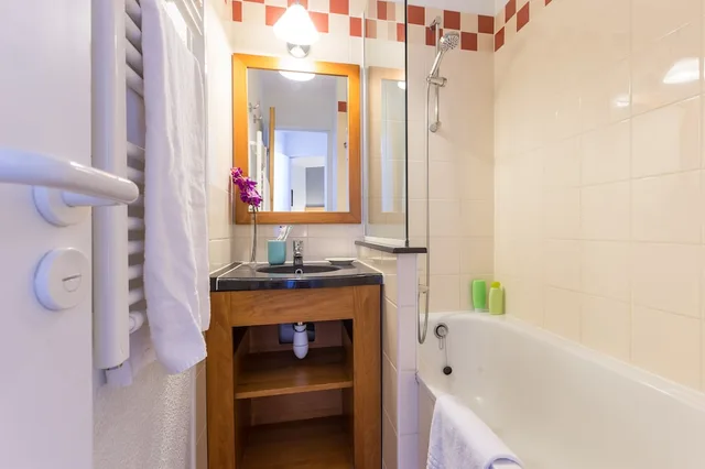 شقة بسرير مزدوج بغرفة نوم واحدة مع أريكة، PV RESIDENCE LES CONSTELLATIONS - LA PLAGNE 3/3