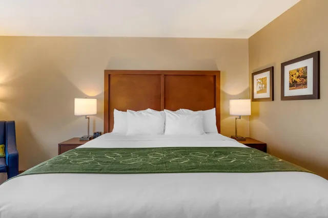 غرفة قياسية بسرير كينج، Comfort Inn Suites Schenectady - Scotia 1/5