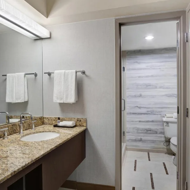 Room, King Bed, Allergy Friendly، Hyatt Regency DFW International Airport 5/7