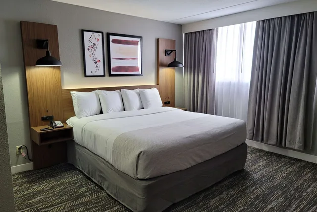 1 Bedroom, Suite, King Bed, Hawthorn Suites by Wyndham Wichita Airport 1/6