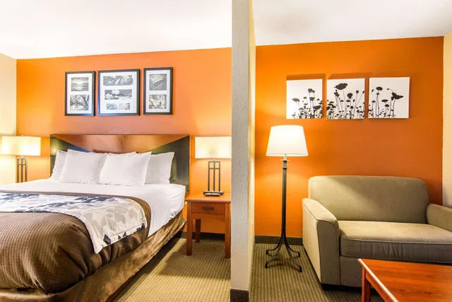 جناح بسرير كينج، Sleep Inn & Suites Athens South 2/3