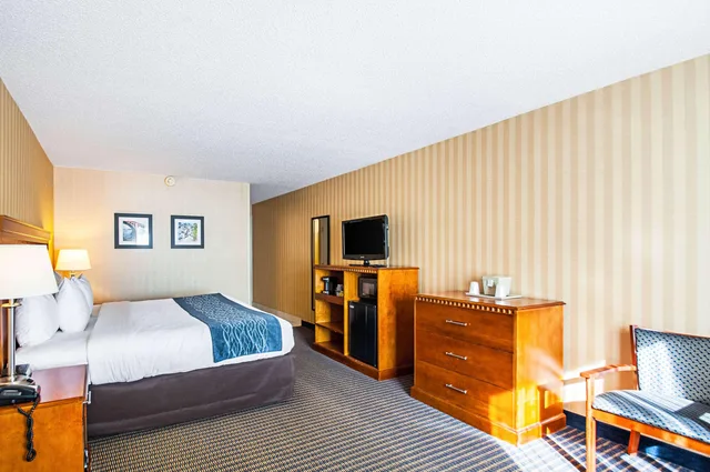 جناح بسرير كينج، Comfort Inn Falls Church - Tysons Corner 3/7