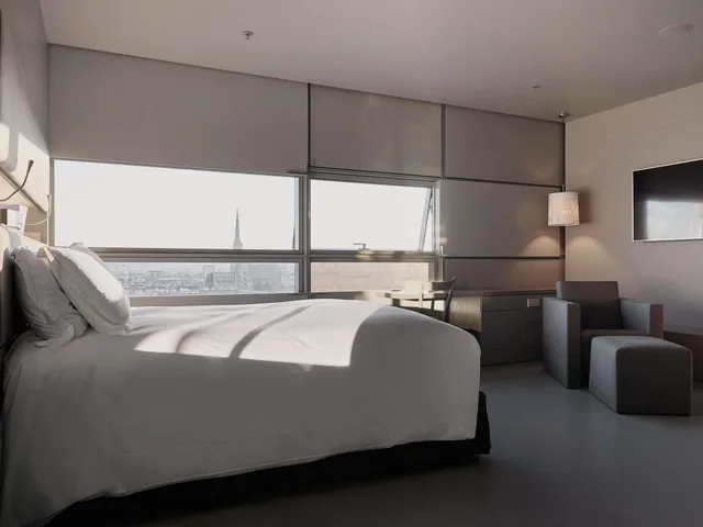 Deluxe, King Bed, Cathedral View، SO Vienna Hotel 2/3