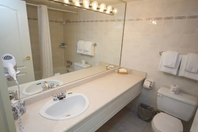 Premium, Studio, King Bed, City View, Century Plaza Hotel & Spa 10/10