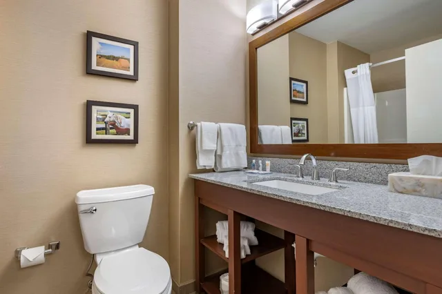 Suite, King Bed, Sofa, Comfort Inn & Suites Northern Kentucky 4/5