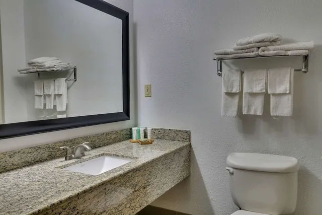 جناح استوديو بسرير كينج لذوي الإعاقة، Country Inn Suites By Radisson Savannah Gateway Ga 4/4