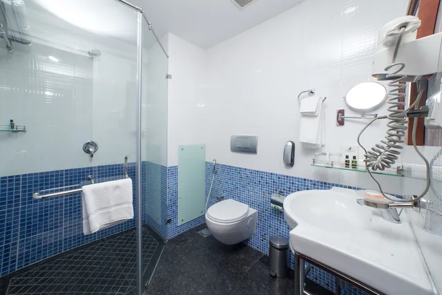 غرفة تنفيذية بسرير كينج، PJ PRINCESS REGENCY 6/6