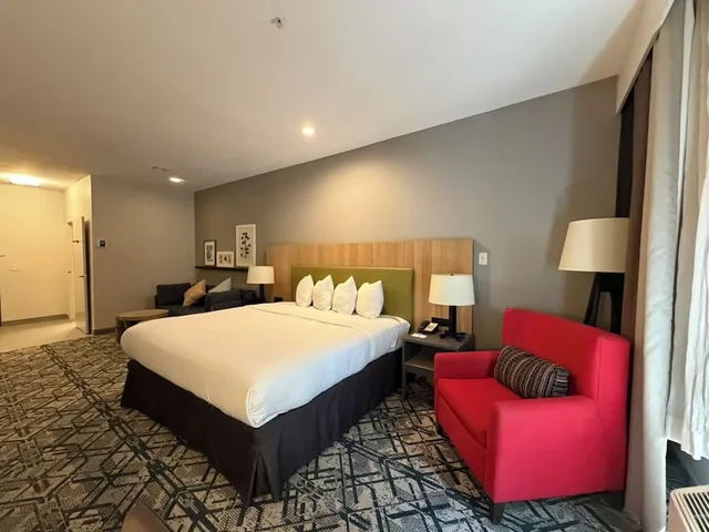 غرفة بسرير كينج، Country Inn & Suites by Radisson, Novi, MI 3/10