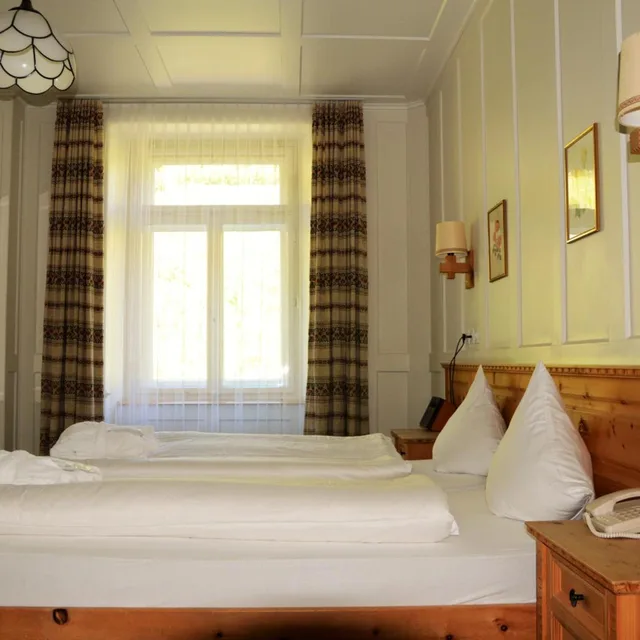غرفة بسرير مزدوج بإطلالة على الجبل، Schatzalp Snow &amp; Mountain Resort 4/4