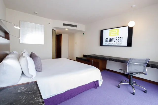 غرفة قياسية مفردة، Camino Real Pedregal 1/8