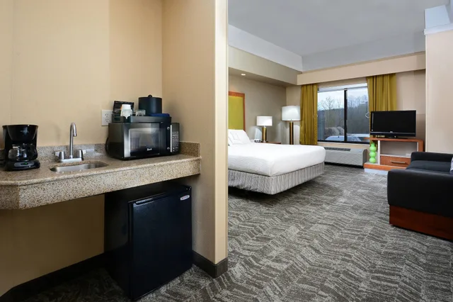 استوديو بسرير كينج مع أريكة، Springhill Suites By Marriott Lynchburg Airport/University Area 4/8