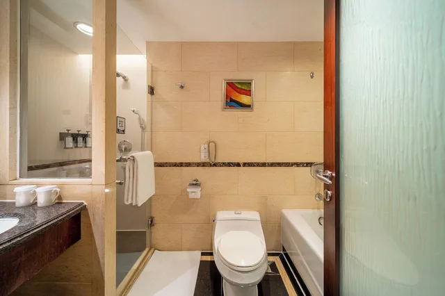 Deluxe King Size Bed Room H، GRAND INTERNATIONAL HOTEL 9/10