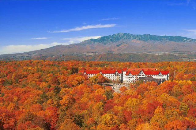 غرفة يابانية غربية بسريرين بأرضية تاتامي في المبنى الرئيسي، Hotel Green Plaza Karuizawa 2/2