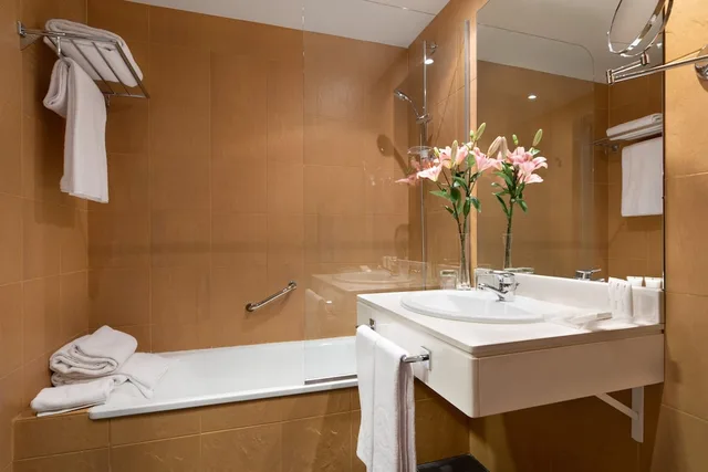 غرفة بريميوم بشرفة مفردة بسرير مزدوج، Dorma Agora Caceres 4/4
