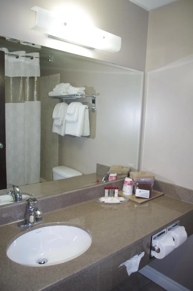 جناح بسرير كينج بغرفة نوم واحدة، South Hill Lodge 3/5