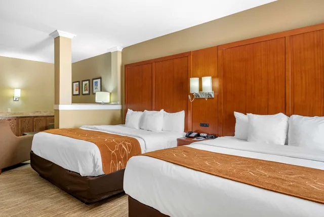 جناح بسريرين كينج، Comfort Suites Lubbock TX 2/5