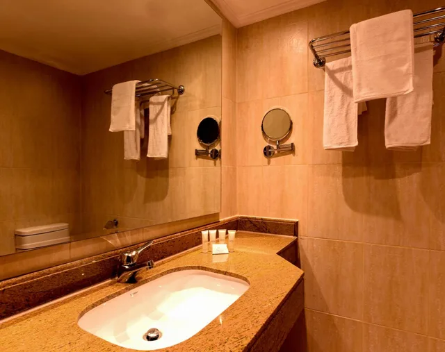 غرفة قياسية مفردة، The Grand Plaza Hotel Smouha 18/29