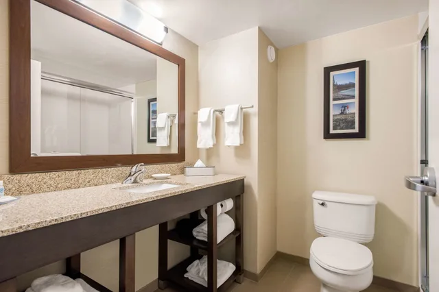 غرفة قياسية بسرير كينج، Comfort Inn & Suites Red Deer North 5/6