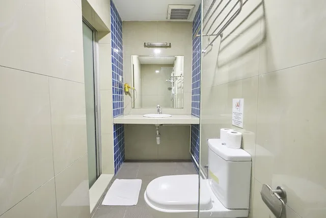غرفة قياسية بسريرين منفصلين، D New 1 Hotel 4/4