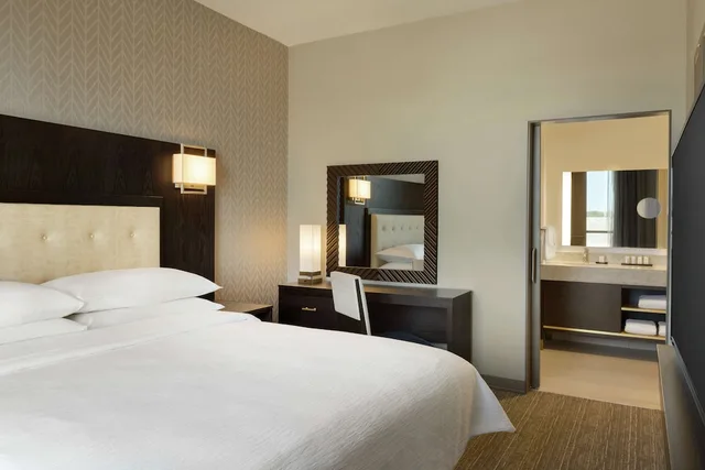 جناح ركني بسرير كينج مع أريكة، Embassy Suites by Hilton Syracuse Destiny USA 1/3