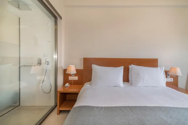 غرفة مفردة، Palmyra Hotel 3/10