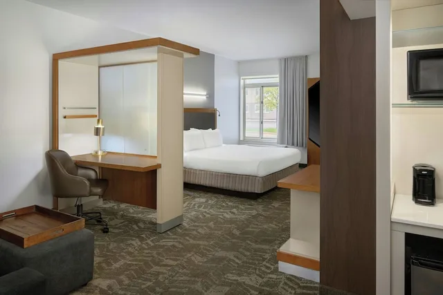 جناح بسرير كينج مع سرير سحّاب إضافي، SpringHill Suites by Marriott Detroit Metro Airport Romulus 6/10