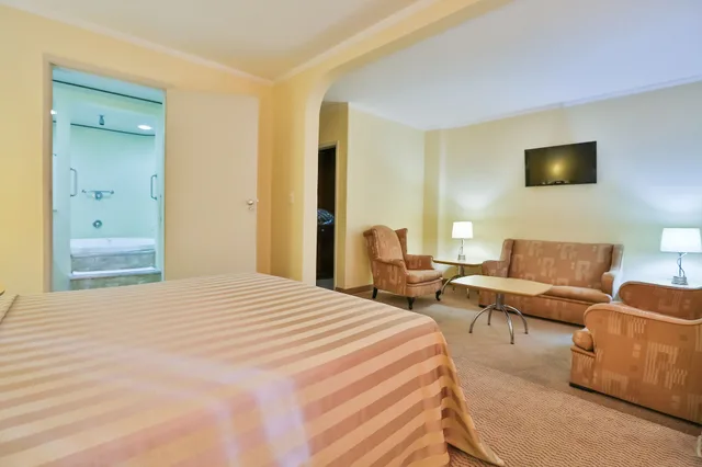 جناح رئاسي بسرير كينج بحوض جاكوزي، SAN MICHEL HOTEL 2/10