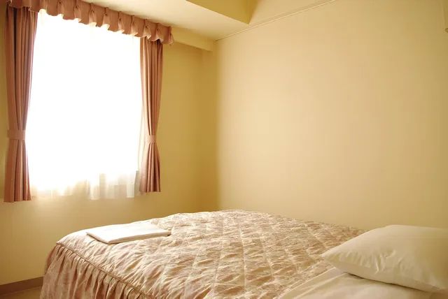 غرفة قياسية مفردة بسرير مزدوج، Hotel Crown Hills Nigata 1/1