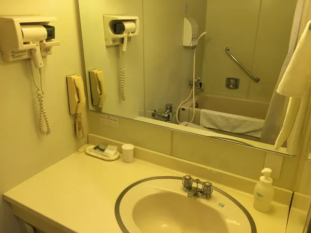 Semi Room, Single Bed, Semi Double Bed, Large, Smoking، Hotel Camelot Japan 2/3