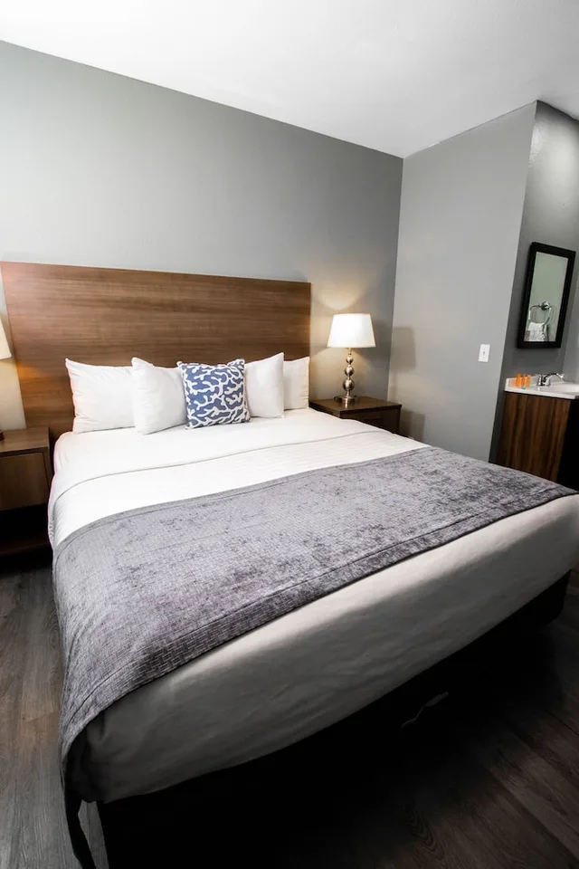 غرفة ديلوكس بسرير كينج يُسمح فيها بالحيوانات الأليفة، Urban Boutique Hotel 7/10