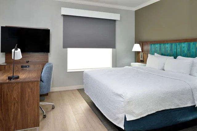 جناح استوديو بسرير كينج مع أريكة، Hampton Inn Suites Greenville 3/10
