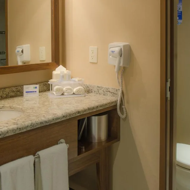 غرفة قياسية بسرير مزدوج، Holiday Inn Express and Suites Celaya 5/5