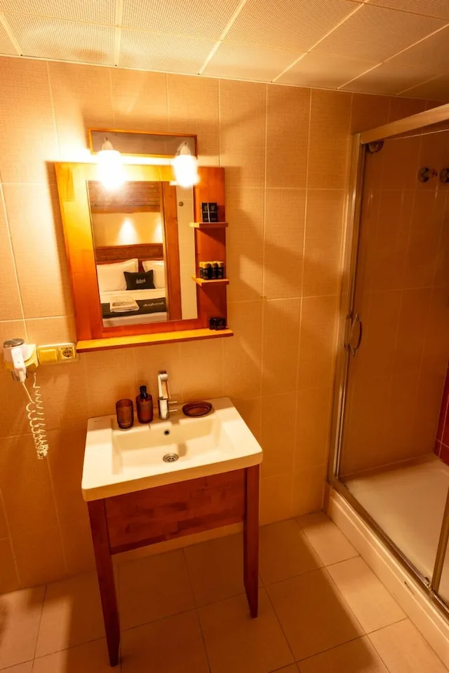 غرفة إليت بسرير مزدوج، Leylak Boutique Hotel Brasserie Boutique Class 8/8
