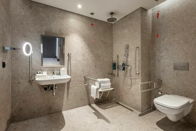 غرفة بسرير كينج لذوي الإعاقة، Hilton Istanbul Airport 5/8