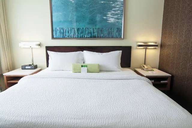 استوديو بسرير كينج مع أريكة لذوي الإعاقة، Springhill Suites Pittsburgh Monroeville 1/2