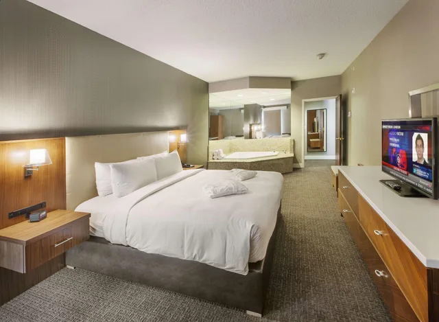جناح بسرير كينج، Doubletree By Hilton Hotel Nanuet 1/1