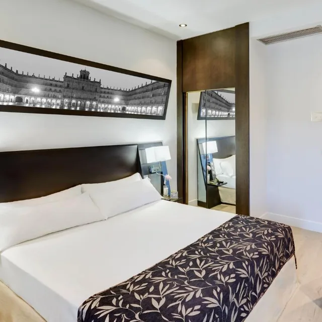 Room, King Bed, Square View, Balcony، Hotel Sercotel Las Torres Salamanca 1/7