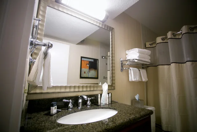 جناح بسرير كينج بغرفة نوم واحدة مع أريكة، Doubletree Hotel Minneapolis Park Place 2/2