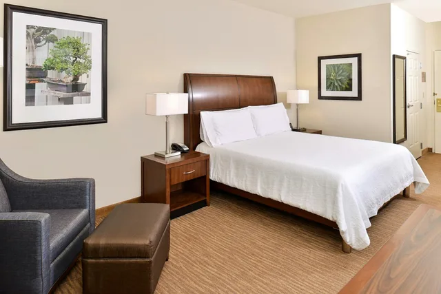 غرفة بسرير كينج لذوي الإعاقة، Hilton Garden Inn Dallas/Addison 1/1