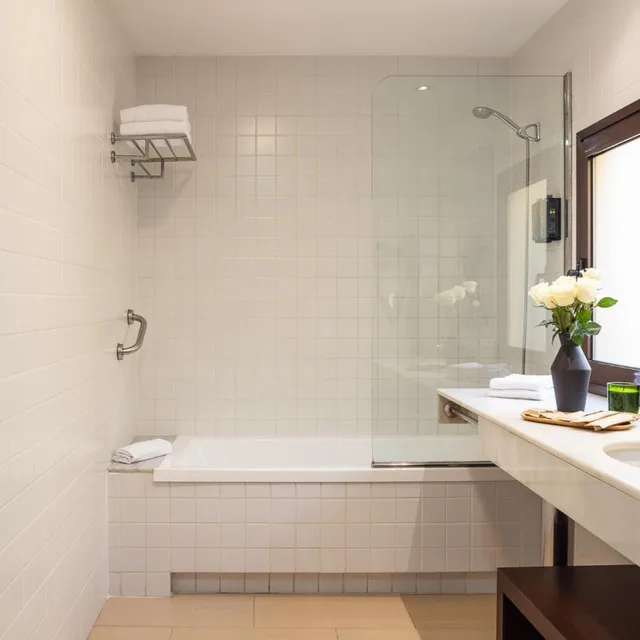 جناح جونيور مع أريكة، Hotel Arc La Rambla 6/6