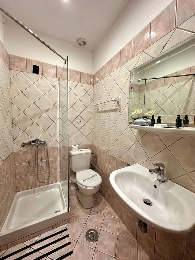 غرفة قياسية مفردة، Acropole Delphi Hotel 7/7