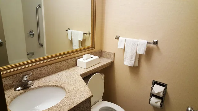 غرفة ديلوكس بسرير كوين لذوي الإعاقة، Quality Inn & Suites Charleston - Civic Center 3/4