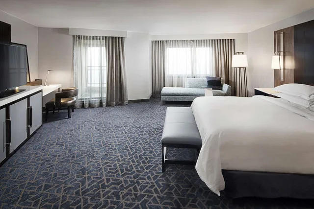 Pure, Superior, King Bed, Allergy Friendly، Hilton Boston Back Bay 1/1