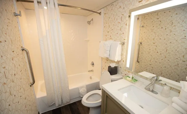 غرفة بسرير كينج، Wyndham Houston Hobby Airport 4/5